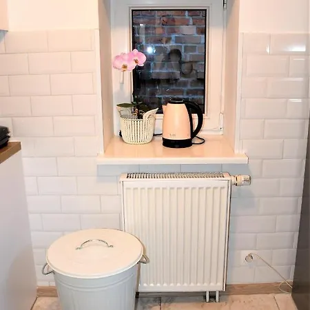 شقة Apartament Spichlerz - Starowka أولشتين
