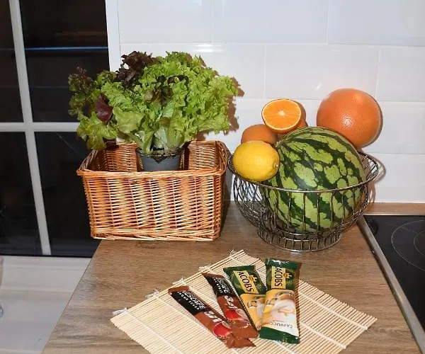 Διαμέρισμα Apartament Spichlerz - Starowka Όλστυν