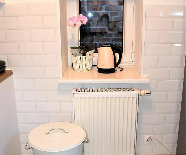 Διαμέρισμα Apartament Spichlerz - Starowka Όλστυν