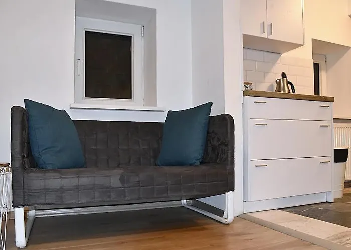 Διαμέρισμα Apartament Spichlerz - Starowka Όλστυν